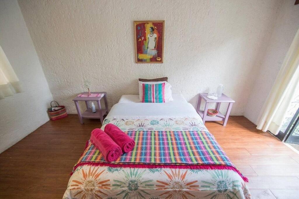 Villa Casa Ayvar. Espectacular Villa Colonial En El Corazon De Coyoacan. Mexico Extérieur photo